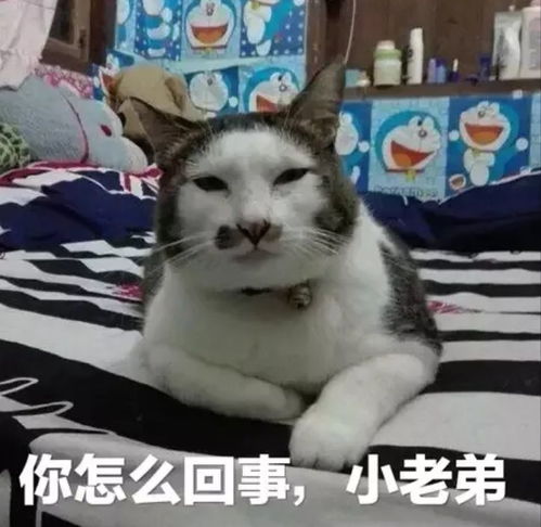  2018年的第一场雪有分别也有重逢