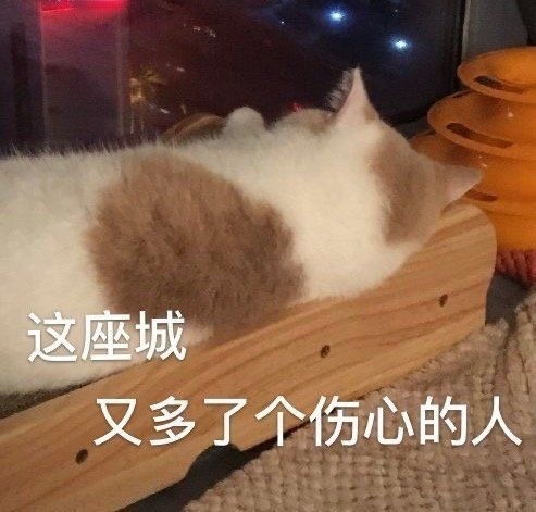  表情包沙雕表情包第八百四十期