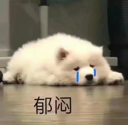 自己打呼舍友没说什么但是我不好意思 自己打呼舍友没说什么但是我不好意思