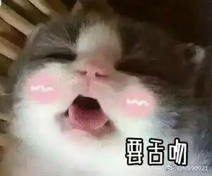 有没有那种适合给女朋友发的小表情包