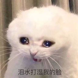  同居催化分手这6件好物,让他越来越爱