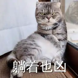 发表情表情包大全微信表情包qq表情包fabiaoqing.com 发表情表情包大全微信表情包qq表情包fabiaoqing.com