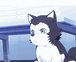 动漫狗的图片大全 动漫狗的图片大全