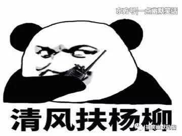  搞笑gif以后没女朋友就别参加聚会了吧,太虐狗了