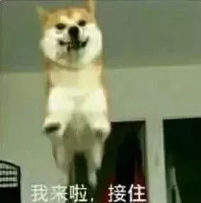  1收藏夹