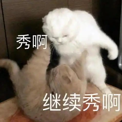 你的表情包该更新啦这50个沙雕又上头的表情包,拿去用 你的表情包该更新啦这50个沙雕又上头的表情包,拿去用