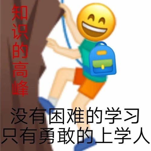  翻包记,武职青年的书包里有什么