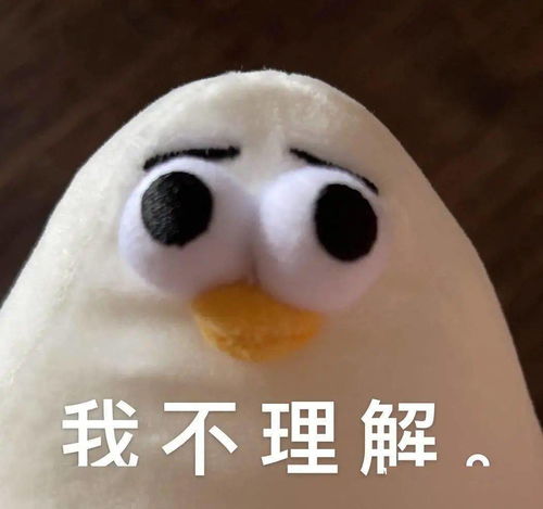  超魔性小海鸥表情包该取图了宝