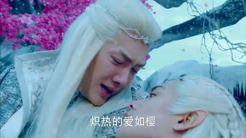  幻城莲姬被困,眼睁睁看着樱空释自杀,彻底崩溃