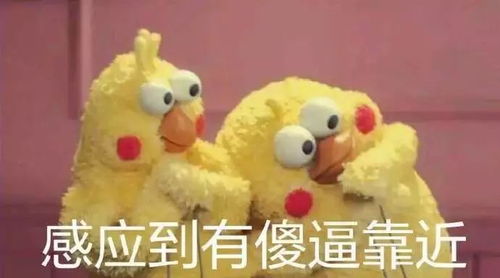  一只鸡最幸福的事,就是被广西人吃掉