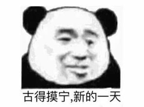  表情包飞鸟牡丹配,袅梦神离醉新的一天,从睁眼开始