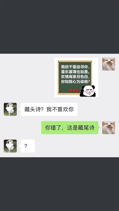  藏头诗套路沙雕操作表情包小可爱已上线聊天记录