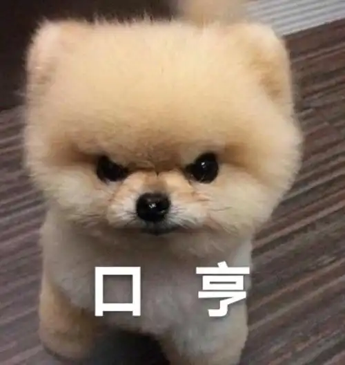 给湾仔们开个表情包楼持更新图补评论里 给湾仔们开个表情包楼持更新图补评论里