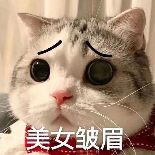  别忍搞不定娃的时候,你当然可以靠吼了