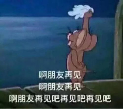  在这一瞬间,我终于死心了