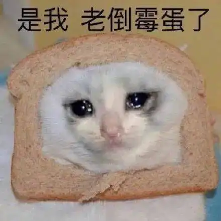 实验室里捡了个田螺男友干饭人双手投降 实验室里捡了个田螺男友干饭人双手投降