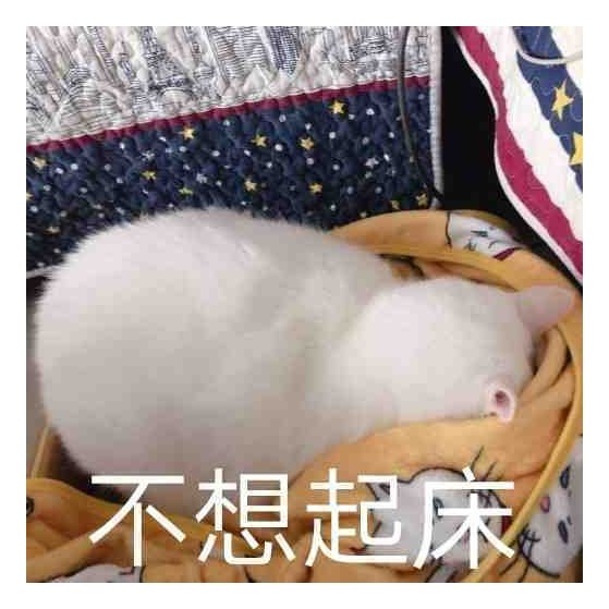 大家好表情包搞笑卸妆油