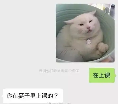 冷空气周末来袭朋友圈被这条消息刷爆了与每个云浮人有关 冷空气周末来袭朋友圈被这条消息刷爆了与每个云浮人有关