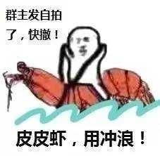 皮皮虾我们走被网友玩坏到底是个什么梗