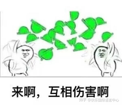 带绿帽子表情包头像