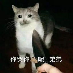 一脸忧郁的猫表情包负心