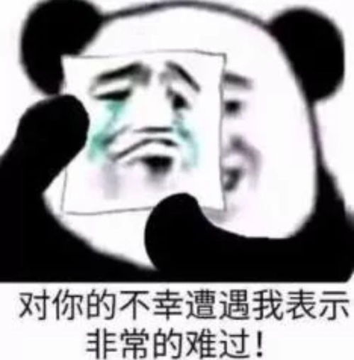  熊猫表情包没有我冷不了的场