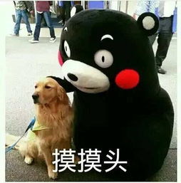  胃痛起来真要命3颗豆就能来救你看过的都收藏了