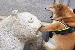  当女朋友和你吵架后,可能她在暗暗地给你加戏