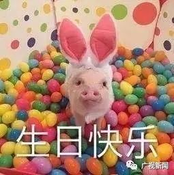  今日雨水,春天要来啦还有2个好消息