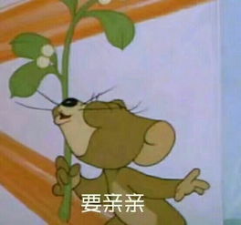 设计公司表情包费用猫和