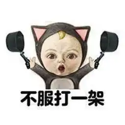  网通社汽车光华众泰