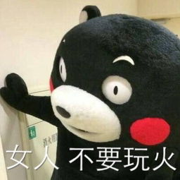 熊本熊表情包晚安单身女