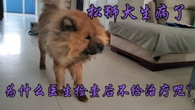  被迫营业的大猫,露出生无可恋的表情,太惨了....