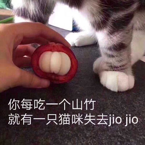 如何撩喜欢的小哥哥qaq 如何撩喜欢的小哥哥qaq