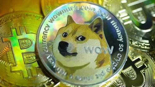  疯狂的币圈能三天赚100万,也能一夜亏25万
