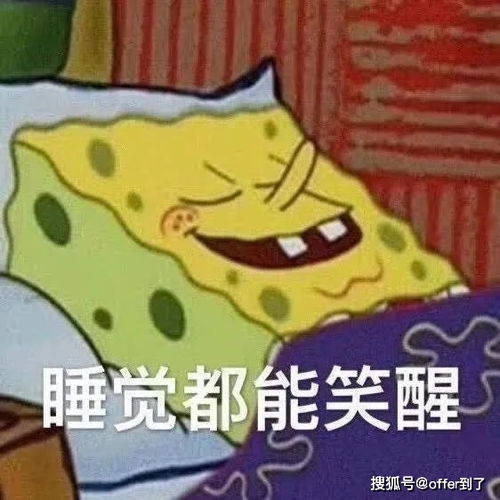  20202021年offer合集