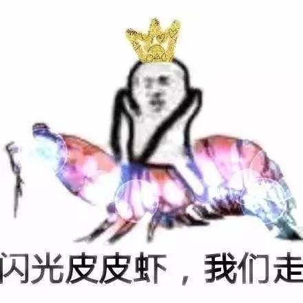 第五人格破轮表情包皮皮