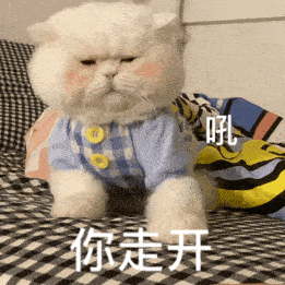  历史回顾大脸猫球球表情包第二弹