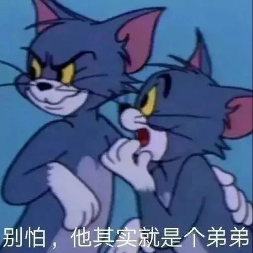  表情包恋爱秘籍