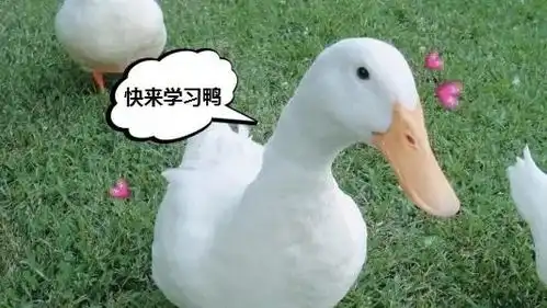 青年大学习第三季第四期来啦蚌埠青年速戳学习 青年大学习第三季第四期来啦蚌埠青年速戳学习