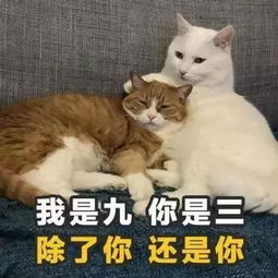  你们要的撩妹表情包来了我,混世大魔王,申请做你的小熊软糖