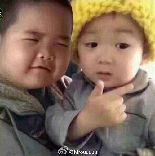  杂收藏夹