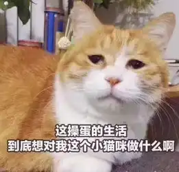 那些很好的人,是过不好一生的简书 那些很好的人,是过不好一生的简书