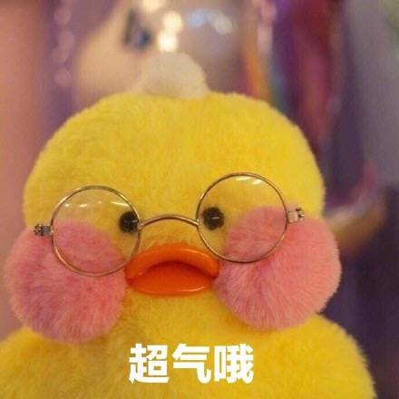  迷你腮红小黄鸭表情包合集人家超可爱