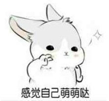  怎么可以吃兔兔表情包下载怎么可以吃兔兔表情包最新版极光下载站