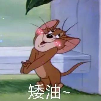  猫和老鼠表情包yyds