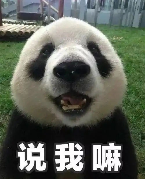 一路睡上位的假纯真贱的大花 一路睡上位的假纯真贱的大花