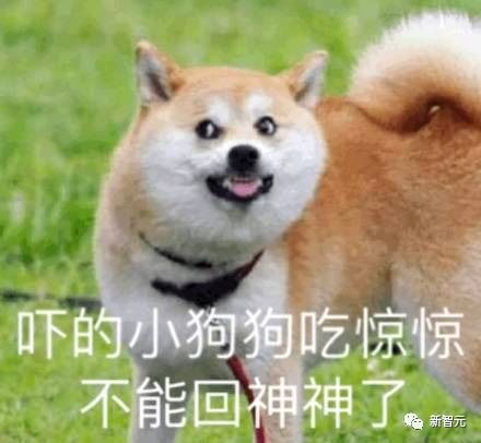  mit最新成果这款能自我复制的机器人,从飞机到火箭都能自己造