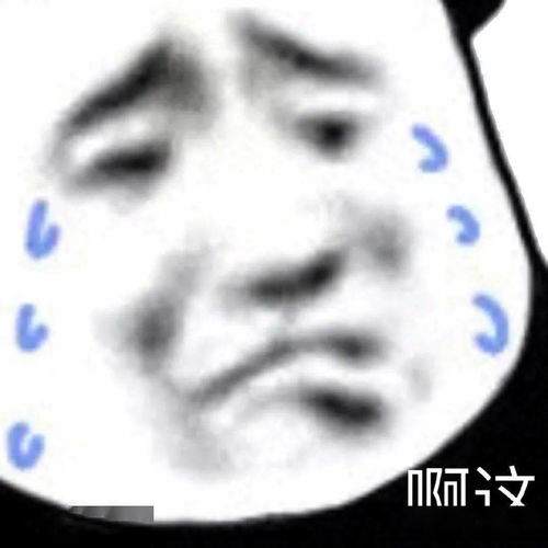 熊猫头表情包你这里是不是有问题