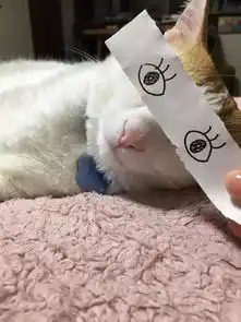 猫咪只会吐舌头一个表情,贪心主人不满足,于是用了这一招 猫咪只会吐舌头一个表情,贪心主人不满足,于是用了这一招